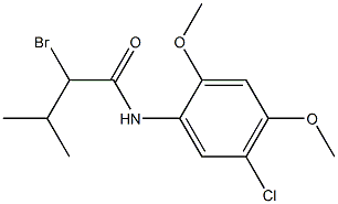2-bromo-N-(5-chloro-2,4-dimethoxyphenyl)-3-methylbutanamide 结构式
