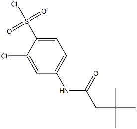 2-chloro-4-(3,3-dimethylbutanamido)benzene-1-sulfonyl chloride 结构式