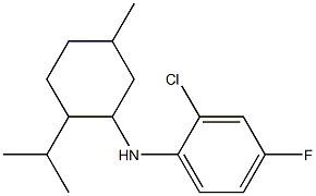 2-chloro-4-fluoro-N-[5-methyl-2-(propan-2-yl)cyclohexyl]aniline 结构式