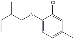 2-chloro-4-methyl-N-(2-methylbutyl)aniline 结构式