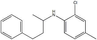 2-chloro-4-methyl-N-(4-phenylbutan-2-yl)aniline 结构式