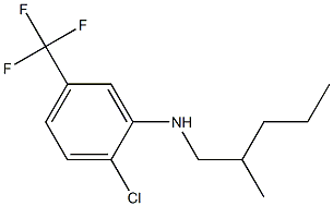 2-chloro-N-(2-methylpentyl)-5-(trifluoromethyl)aniline 结构式
