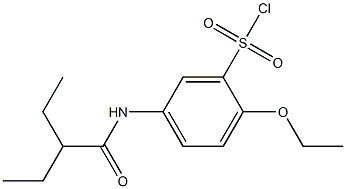 2-ethoxy-5-(2-ethylbutanamido)benzene-1-sulfonyl chloride 结构式