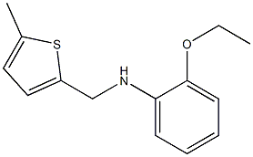 2-ethoxy-N-[(5-methylthiophen-2-yl)methyl]aniline 结构式
