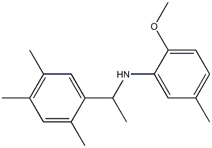 2-methoxy-5-methyl-N-[1-(2,4,5-trimethylphenyl)ethyl]aniline 结构式