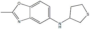 2-methyl-N-(thiolan-3-yl)-1,3-benzoxazol-5-amine 结构式