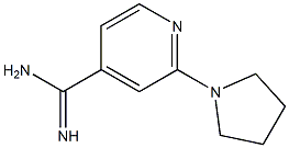 2-pyrrolidin-1-ylpyridine-4-carboximidamide 结构式