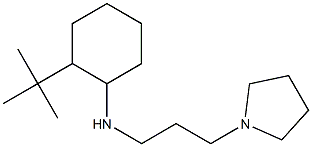 2-tert-butyl-N-[3-(pyrrolidin-1-yl)propyl]cyclohexan-1-amine 结构式