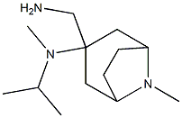 3-(aminomethyl)-N,8-dimethyl-N-(propan-2-yl)-8-azabicyclo[3.2.1]octan-3-amine 结构式