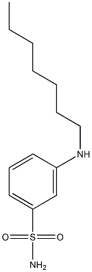 3-(heptylamino)benzene-1-sulfonamide 结构式