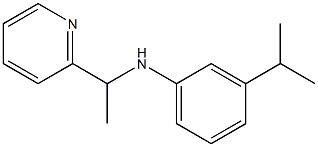 3-(propan-2-yl)-N-[1-(pyridin-2-yl)ethyl]aniline 结构式