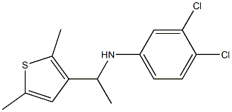 3,4-dichloro-N-[1-(2,5-dimethylthiophen-3-yl)ethyl]aniline 结构式