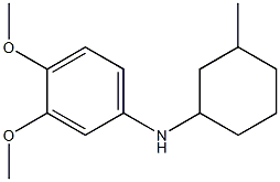 3,4-dimethoxy-N-(3-methylcyclohexyl)aniline 结构式