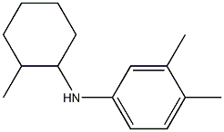 3,4-dimethyl-N-(2-methylcyclohexyl)aniline 结构式