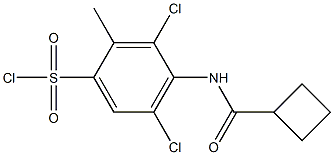 3,5-dichloro-4-cyclobutaneamido-2-methylbenzene-1-sulfonyl chloride 结构式