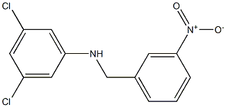 3,5-dichloro-N-[(3-nitrophenyl)methyl]aniline 结构式