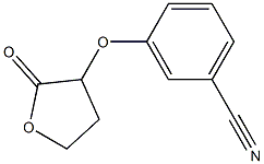 3-[(2-oxooxolan-3-yl)oxy]benzonitrile 结构式