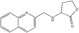 3-[(quinolin-2-ylmethyl)amino]oxolan-2-one 结构式