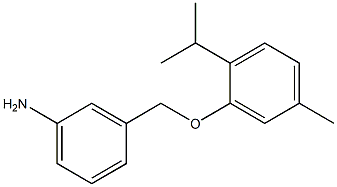 3-[5-methyl-2-(propan-2-yl)phenoxymethyl]aniline 结构式