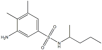 3-amino-4,5-dimethyl-N-(pentan-2-yl)benzene-1-sulfonamide 结构式