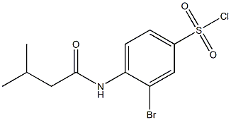 3-bromo-4-(3-methylbutanamido)benzene-1-sulfonyl chloride 结构式