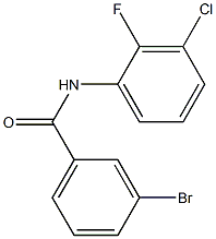3-bromo-N-(3-chloro-2-fluorophenyl)benzamide 结构式