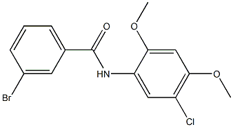 3-bromo-N-(5-chloro-2,4-dimethoxyphenyl)benzamide 结构式