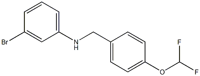3-bromo-N-{[4-(difluoromethoxy)phenyl]methyl}aniline 结构式