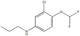 3-chloro-4-(difluoromethoxy)-N-propylaniline 结构式
