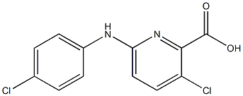 3-chloro-6-[(4-chlorophenyl)amino]pyridine-2-carboxylic acid 结构式