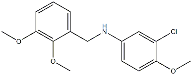 3-chloro-N-[(2,3-dimethoxyphenyl)methyl]-4-methoxyaniline 结构式