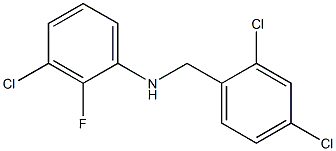 3-chloro-N-[(2,4-dichlorophenyl)methyl]-2-fluoroaniline 结构式