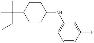 3-fluoro-N-[4-(2-methylbutan-2-yl)cyclohexyl]aniline 结构式