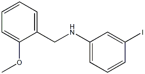 3-iodo-N-[(2-methoxyphenyl)methyl]aniline 结构式