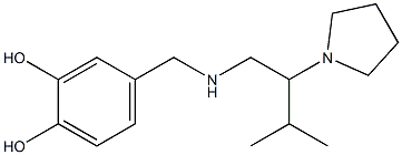 4-({[3-methyl-2-(pyrrolidin-1-yl)butyl]amino}methyl)benzene-1,2-diol 结构式