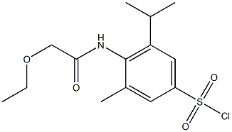 4-(2-ethoxyacetamido)-3-methyl-5-(propan-2-yl)benzene-1-sulfonyl chloride 结构式