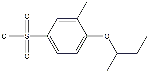 4-(butan-2-yloxy)-3-methylbenzene-1-sulfonyl chloride 结构式