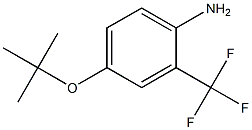 4-(tert-butoxy)-2-(trifluoromethyl)aniline 结构式