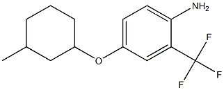 4-[(3-methylcyclohexyl)oxy]-2-(trifluoromethyl)aniline 结构式