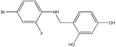 4-{[(4-bromo-2-fluorophenyl)amino]methyl}benzene-1,3-diol 结构式
