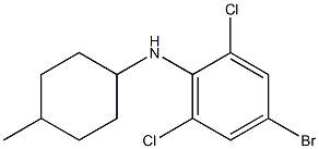 4-bromo-2,6-dichloro-N-(4-methylcyclohexyl)aniline 结构式
