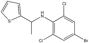 4-bromo-2,6-dichloro-N-[1-(thiophen-2-yl)ethyl]aniline 结构式