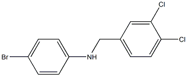 4-bromo-N-[(3,4-dichlorophenyl)methyl]aniline 结构式