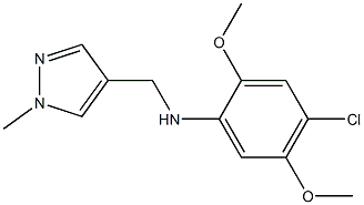 4-chloro-2,5-dimethoxy-N-[(1-methyl-1H-pyrazol-4-yl)methyl]aniline 结构式