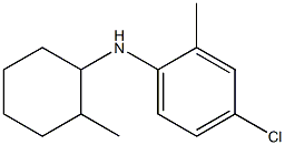 4-chloro-2-methyl-N-(2-methylcyclohexyl)aniline 结构式
