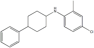 4-chloro-2-methyl-N-(4-phenylcyclohexyl)aniline 结构式