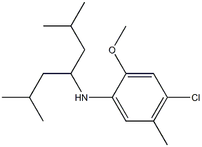 4-chloro-N-(2,6-dimethylheptan-4-yl)-2-methoxy-5-methylaniline 结构式