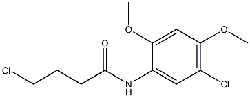 4-chloro-N-(5-chloro-2,4-dimethoxyphenyl)butanamide 结构式