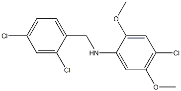 4-chloro-N-[(2,4-dichlorophenyl)methyl]-2,5-dimethoxyaniline 结构式