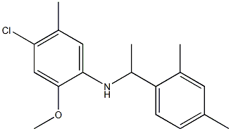 4-chloro-N-[1-(2,4-dimethylphenyl)ethyl]-2-methoxy-5-methylaniline 结构式